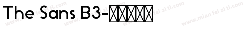 The Sans B3字体转换